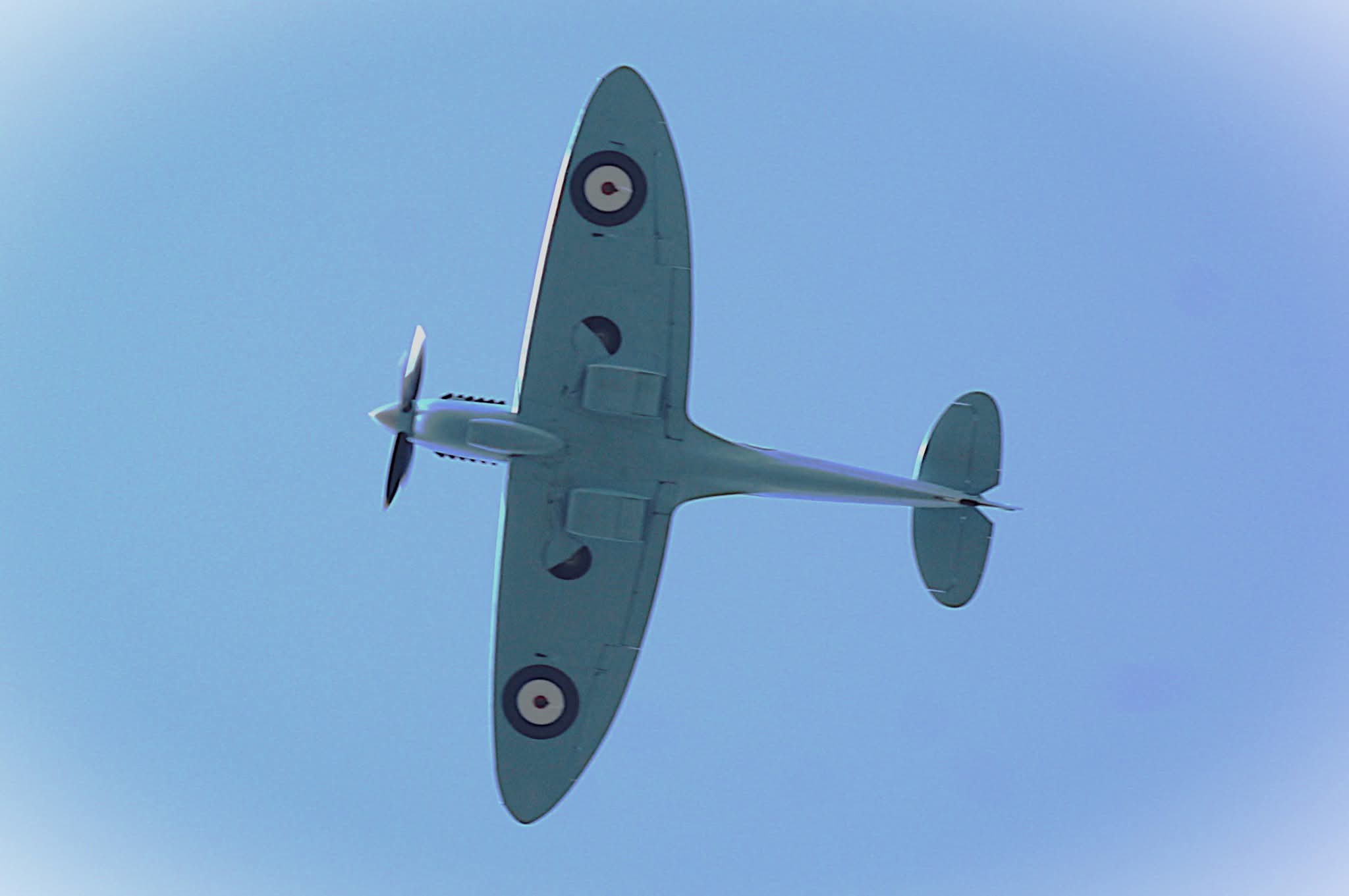 Spitfire